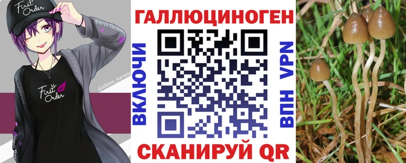 Галлюциногенные грибы Psilocybine cubensis  где можно купить   МЕГА   Гаврилов Посад 
